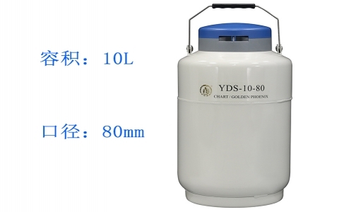 金鳳貯藏型液氮罐YDS-10-80