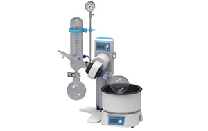 1599460577239077.jpg 22.jpg